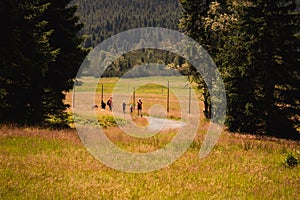 At Hala Izerska in the Izerskie Mountains in Poland