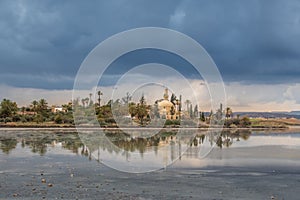 Hala Sultan Tekke mosque and gardens, an idyllic view on the shore of Larnaca Salt Lakes, Cyprus