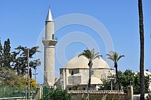 Hala Sultan Tekke Mosque photo