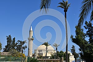 Hala Sultan Tekke Mosque photo