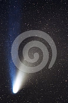 Hale Bopp Comet