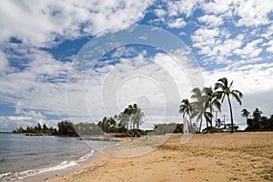 Haleiwa Beach