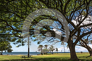 Haleiwa Park in North Shore, Oahu, Hawaii photo