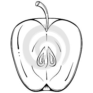 Half apple line art