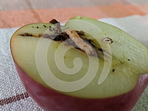 Half an apple with a worm