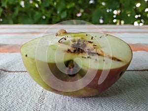Half an apple with a worm