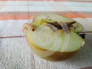 Half an apple with a worm
