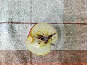 Half an apple with a worm