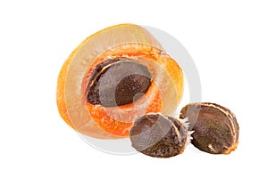 Half of apricot with core