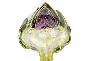 Half artichoke, showing the heart and choke under the leaves, is