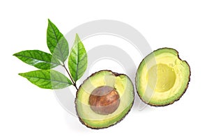 Half avocado fruits isolated on white background