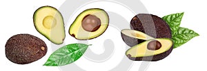half avocado isolated on white background close-up. Top view