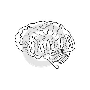 Half a brain one line art. Continuous line drawing of human, internal, organ, head, gray matter, cerebellum, brainstem.