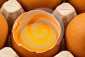 Half broken chicken egg and brown chicken eggs in egg carton