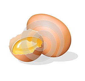 Half broken chicken egg. Vector illustration.