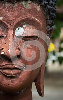 Half of a buddha face