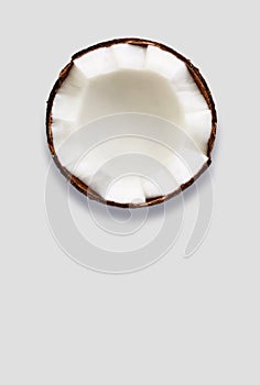 Half of coconut isolated