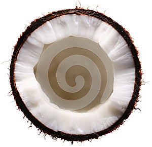Half of the coconut isolated on a white.