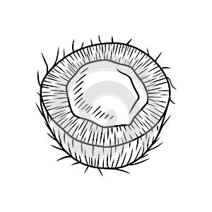 Half of coconut with milk in n black on white background. Hand drawn vector sketch illustration in doodle engraved photo