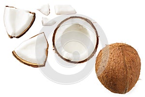 half coconutisolated on white background top view