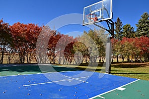 Half court vinyl floored outdoor basketball court