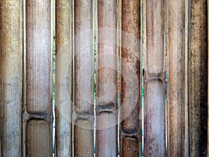 Half-Cut Bamboo Fence
