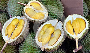 Half cut durian `King of Fruits`