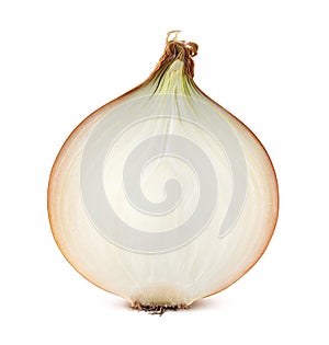 Half cut onion bulb on white background