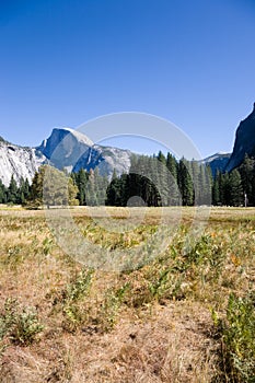 Half Dome