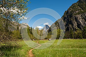 Half Dome in the Background in Yosemite National Park in Spring