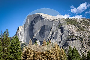 Half Dome mountain seen from bottom of Yosemite valley