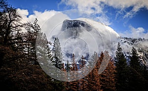Half Dome Rising over the Forest, Yosemite National Park, California