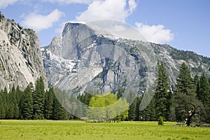 Half Dome - Yosemite photo