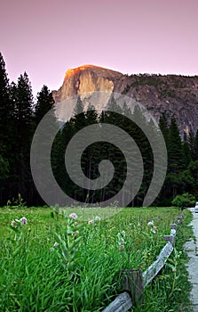 Half Dome, Yosemite National Park