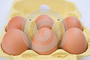Half dozen eggs in carton