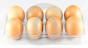 Half a dozen of eggs in the egg tray