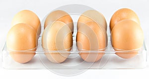 Half a dozen of eggs in the egg tray