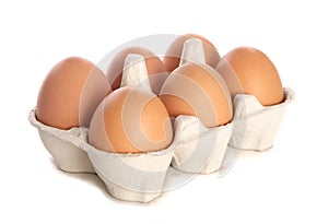 Half dozen fresh eggs cutout photo