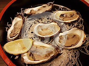 Half Dozen of Fresh Oysters