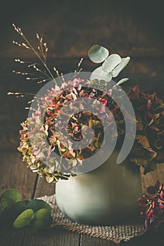 Half dried and slightly faded pink hydrangea flower and a eucalyptus branch in a vase on a dark wooden background, nice vintage