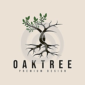 half dry antique oak tree logo vector minimalist illustration design