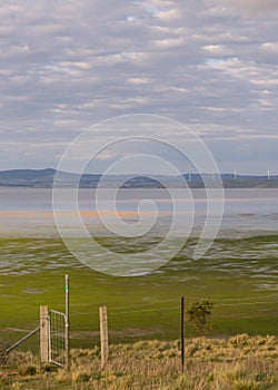 Half empty Lake George between farmland and a wind farm