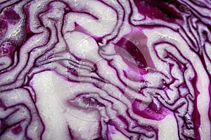 Half of fresh red cabbage as background, closeup