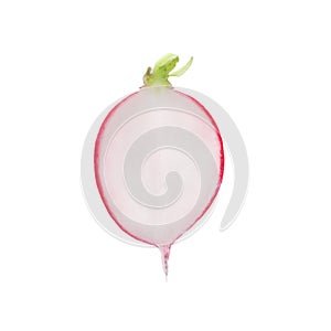 Half of fresh ripe radish isolated on white, top view