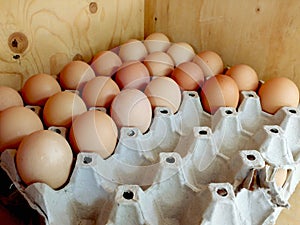 Half full egg tray