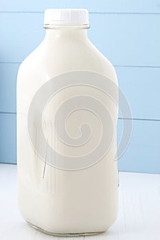 Half gallon milk bottle