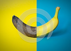 Half good half gear banana on two-tone blue and yellow background, graphic element, concept of old and new, modern design,