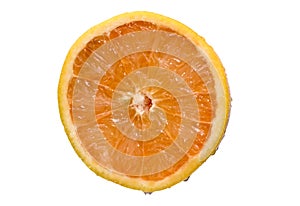 half grapefruit