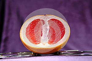 Half grapefruit and handcuffs close-up on a purple background. The concept of protecting virginity, sexual inviolability. Vagina photo