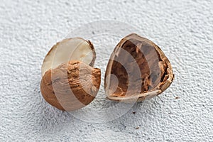 half hazelnut on white background